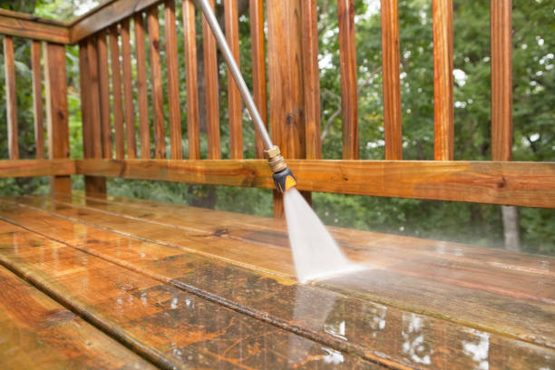Animal Enclosure Cleaning in Xenia, OH